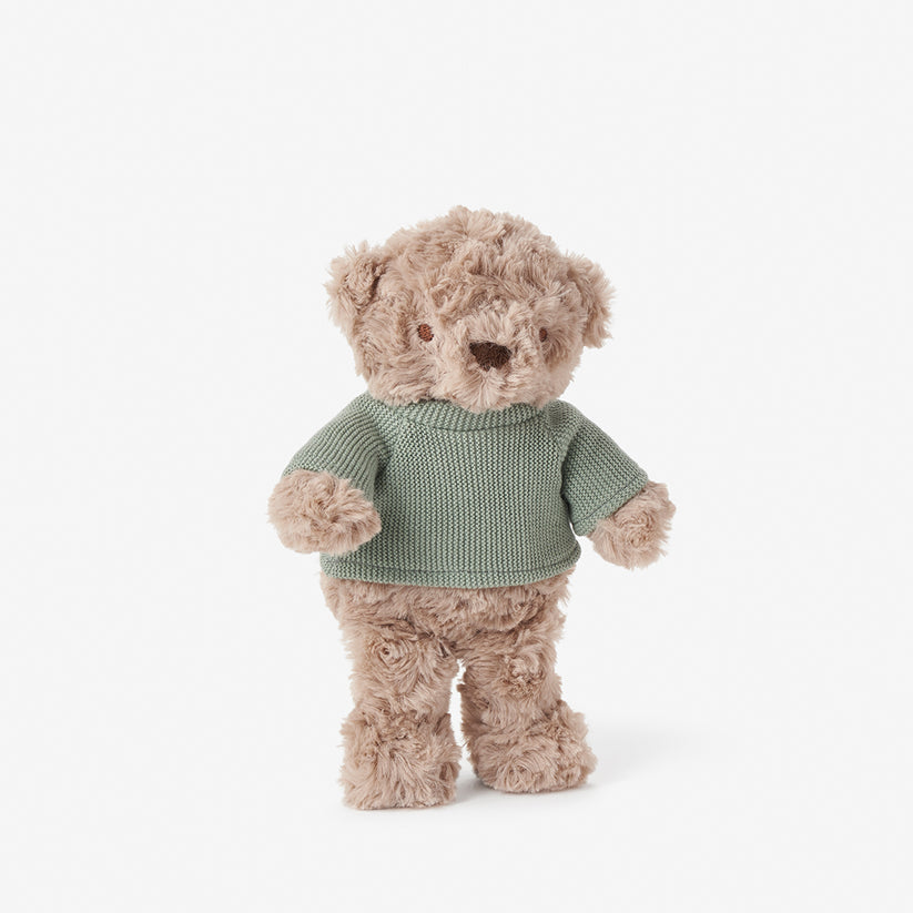 Stuffed teddy bear wearing a green sweater on a white background
