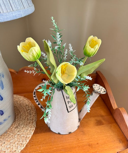 Metal Watering Can Pitcher