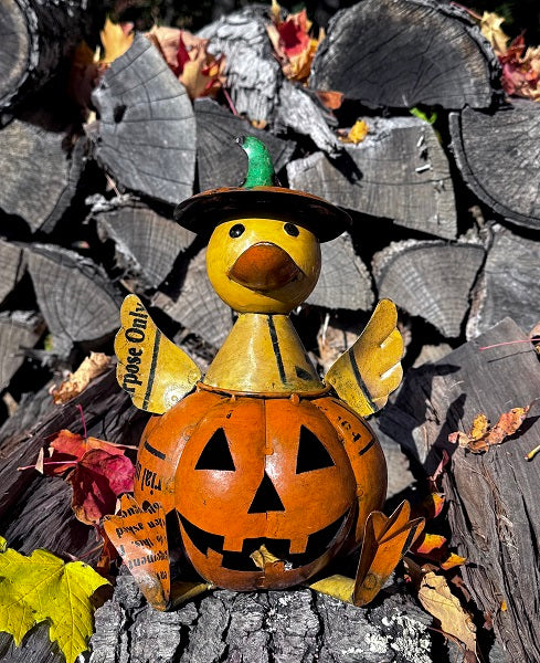 Decorative duck with pumpkin head and witch hat on wooden logs