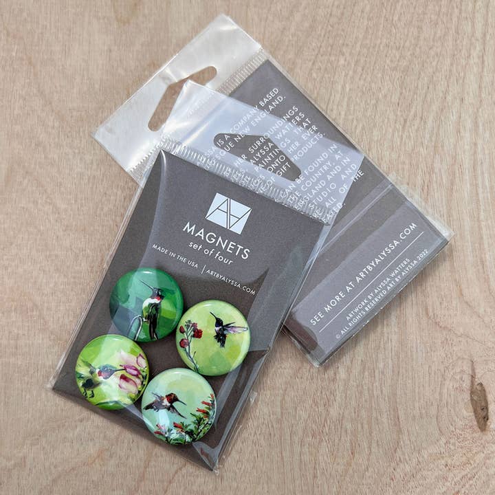 Hummingbirds Magnet Set