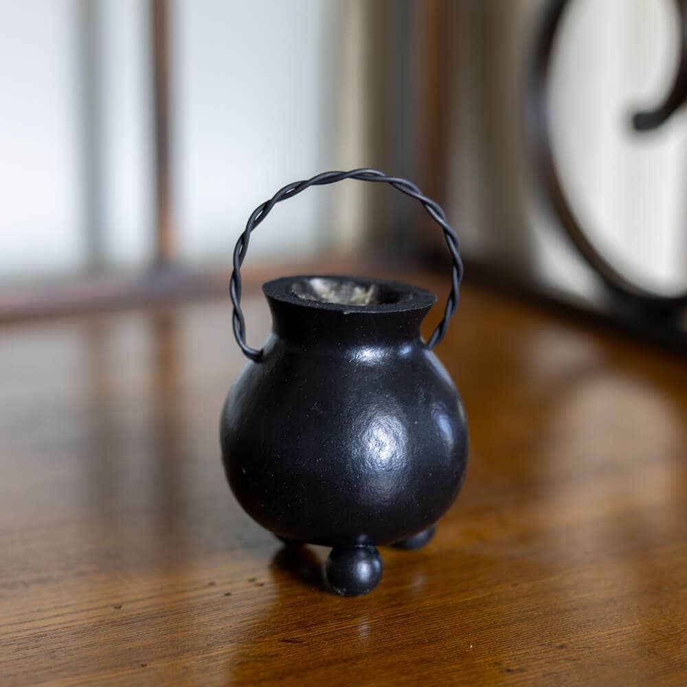 Witch Cauldron Gourd