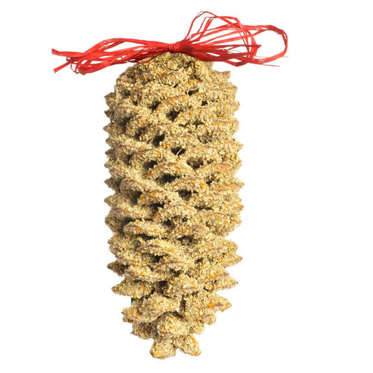 Giant Pinecone Bird Treat