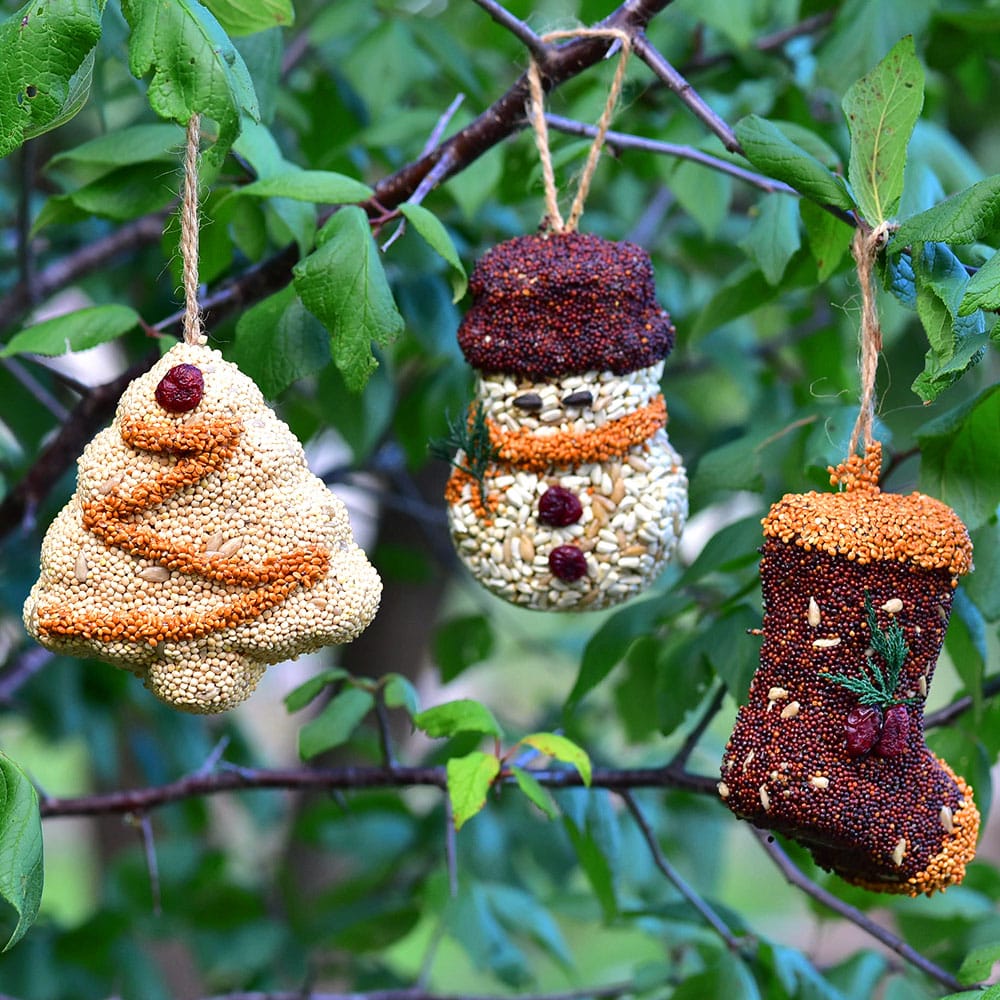 Christmas Shapes Bird Treat