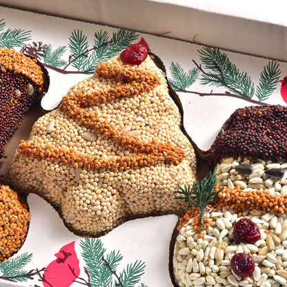 Christmas Shapes Bird Treat