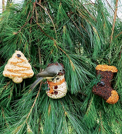 Christmas Shapes Bird Treat