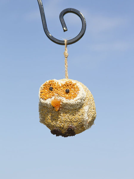 Woodland Friends Owl Bird Treat