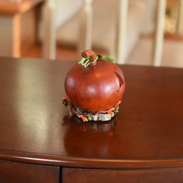 Frederick Pumpkin Gourd