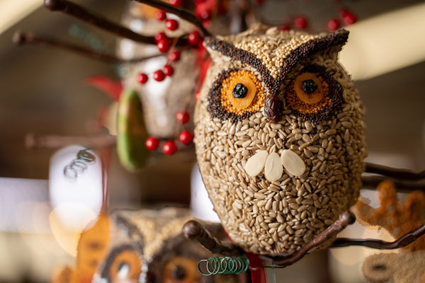 Whoo-lio the Owl Bird Treat