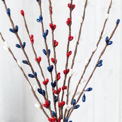 Decorative branches with red, blue, and white berries on a white background
