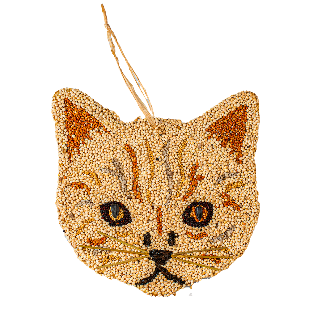 Cat-shaped seed ornament on a white background