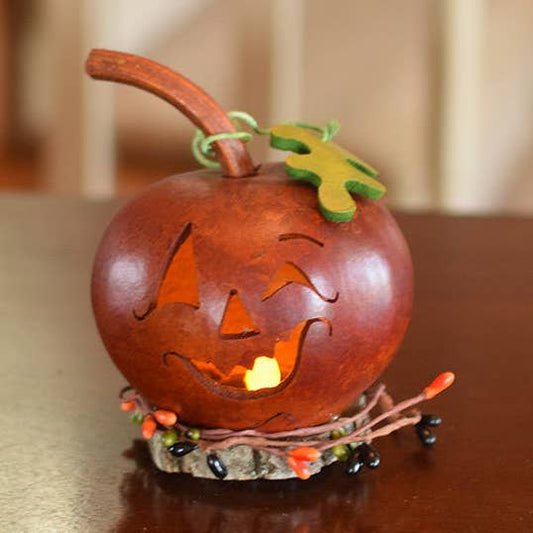 Frederick Pumpkin Gourd