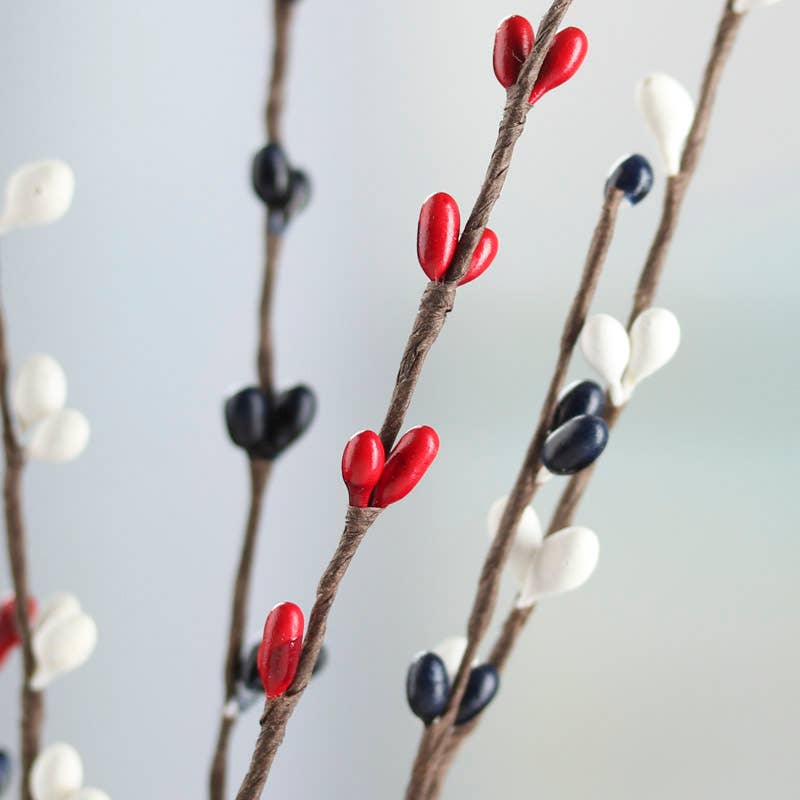 Close up of a decorative branch with red, blue, and white berries on a white background