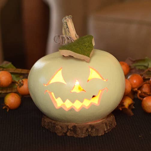 Cannon Pumpkin Gourd