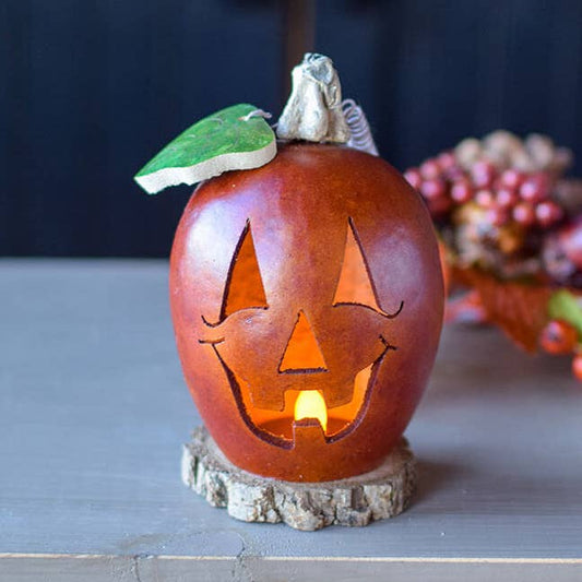 Lucas Pumpkin Gourd