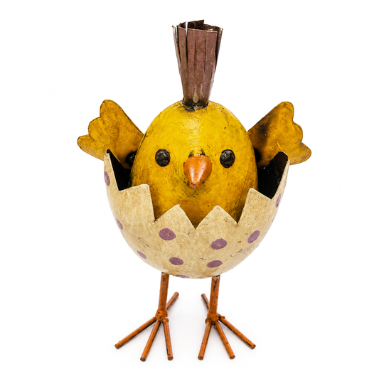 Decorative chick with a polka dot shell on a white background