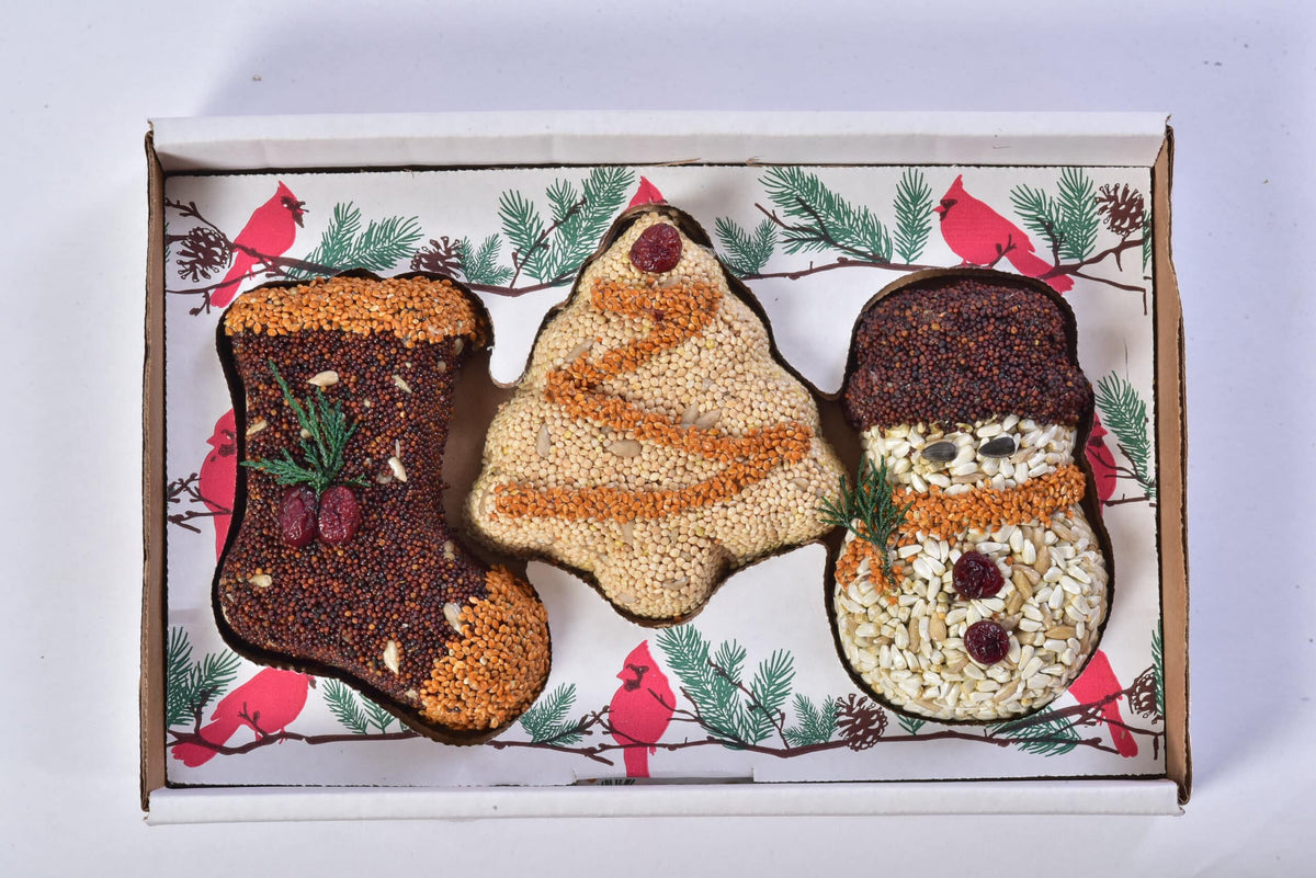Christmas Shapes Bird Treat