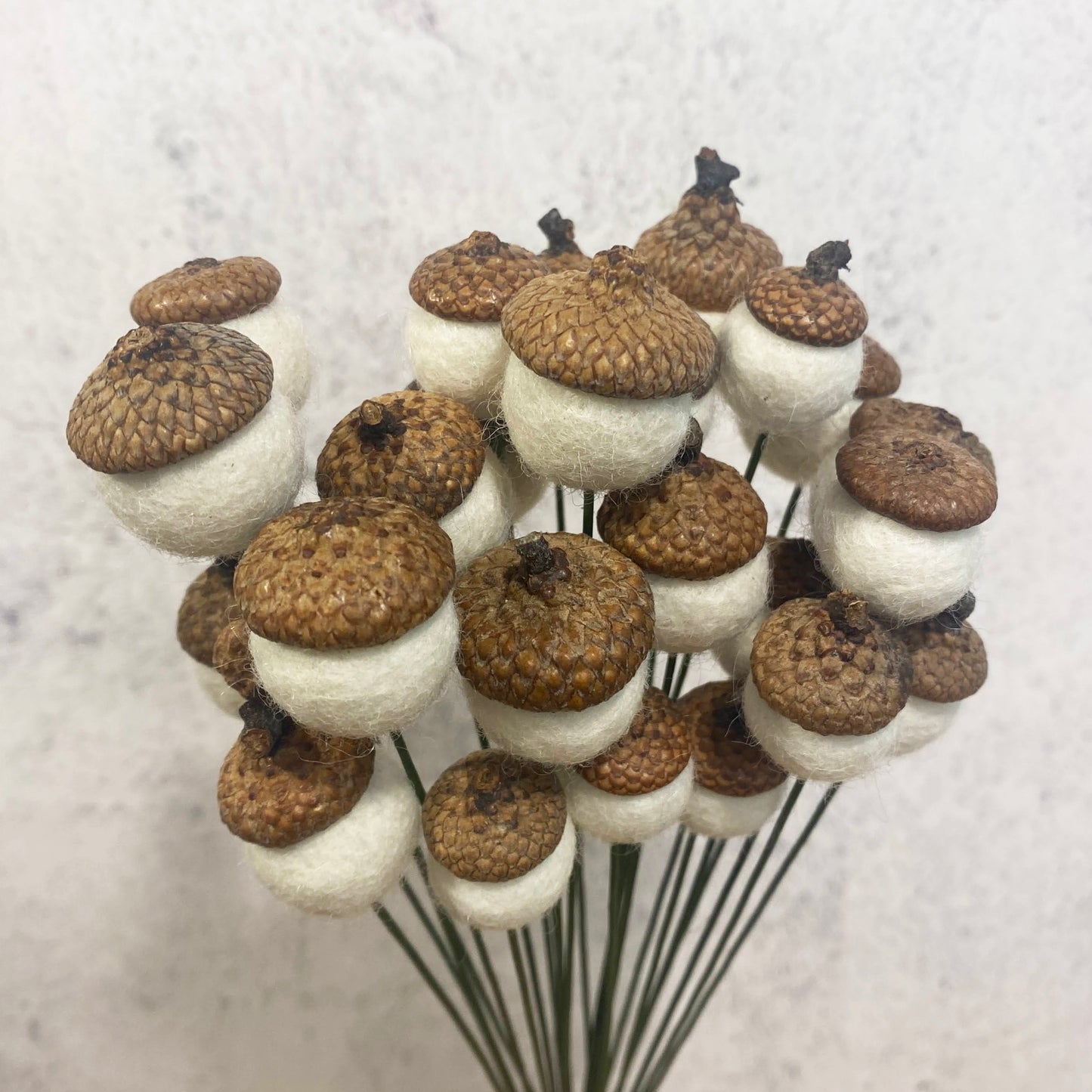 Bouquet of decorative acorn-shaped flowers on a light background