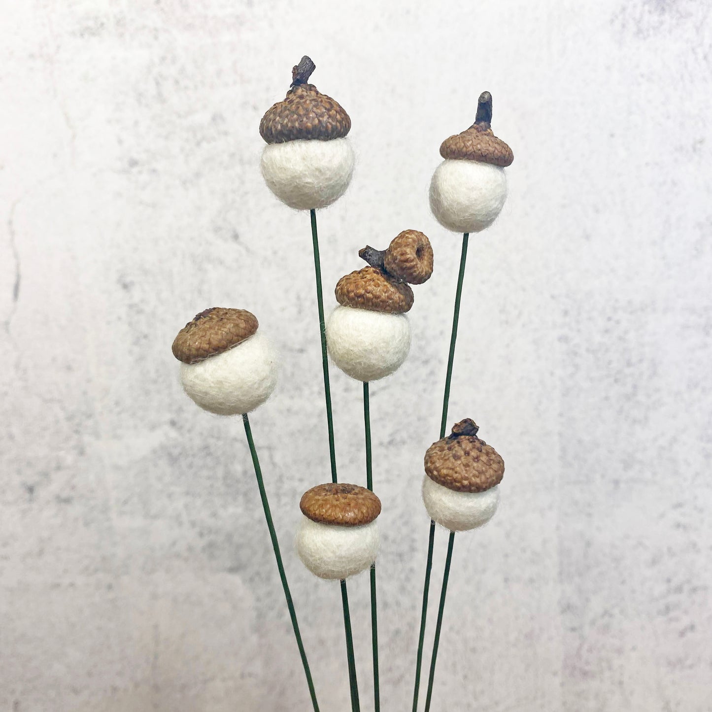 Decorative elements resembling acorns with white bases on thin stems against a light gray background