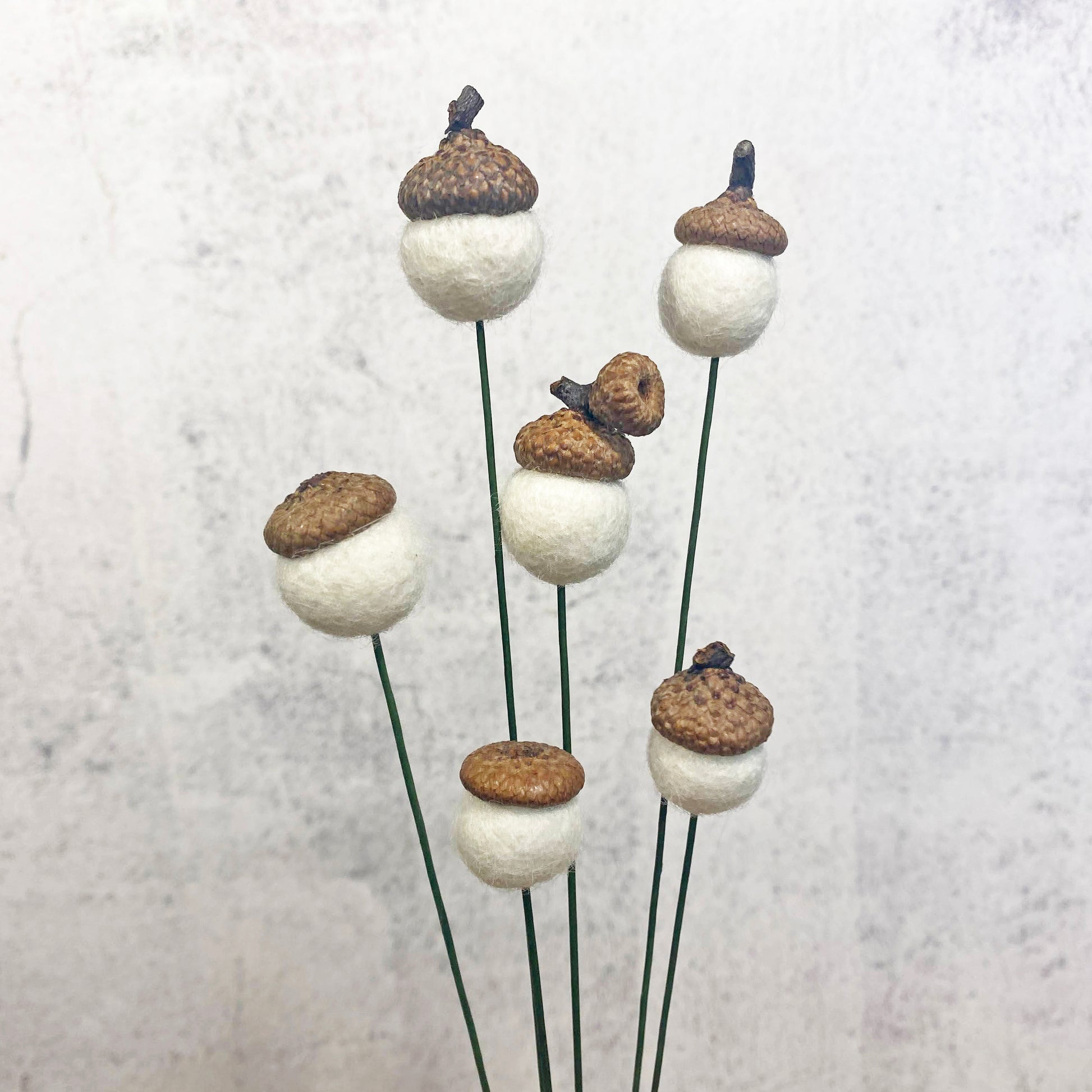 Decorative elements resembling acorns with white bases on thin stems against a light gray background