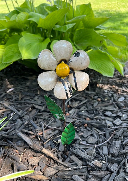 Decorative flower on mulched ground