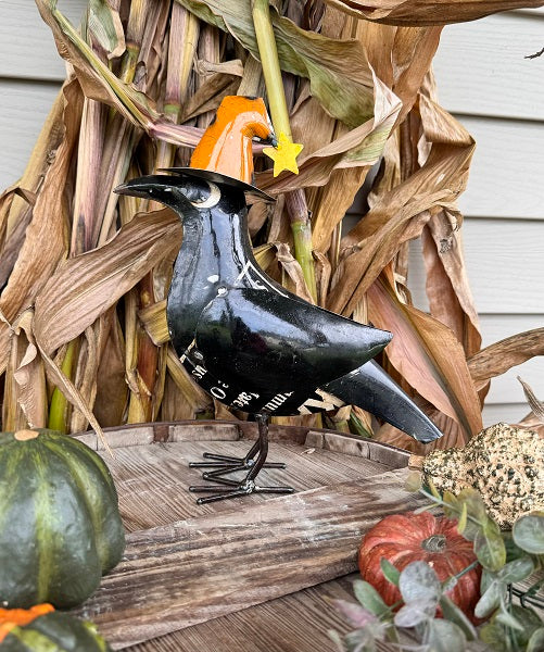 Decorative black bird figure with an orange hat with yellow star on its head, surrounded by autumnal elements like pumpkins and straw.