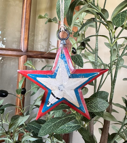 Decorative star ornament with red, white, and blue colors hanging among green plants.