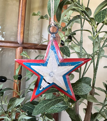Decorative star ornament with red, white, and blue colors hanging among green plants.