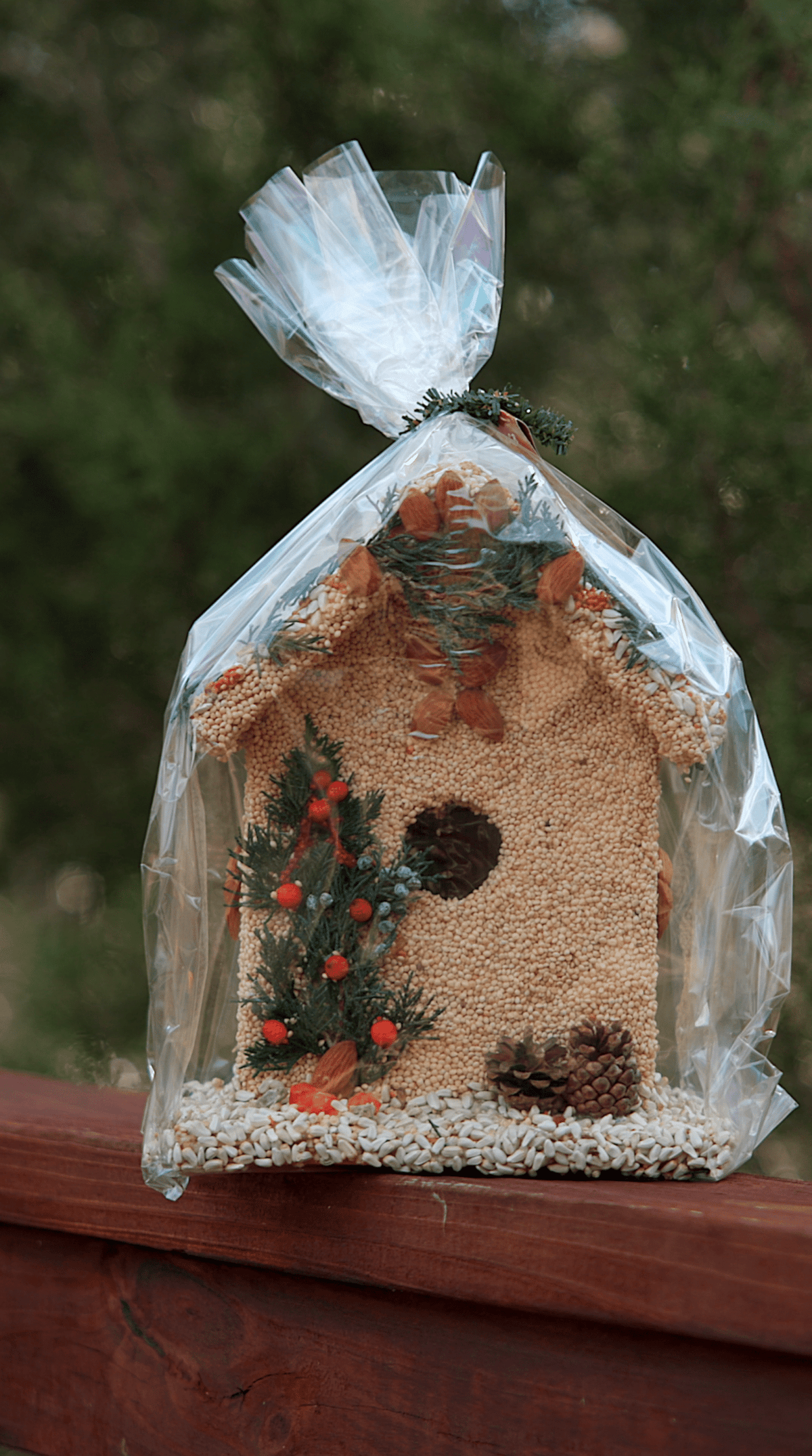 Juniper B&B Bird Treat