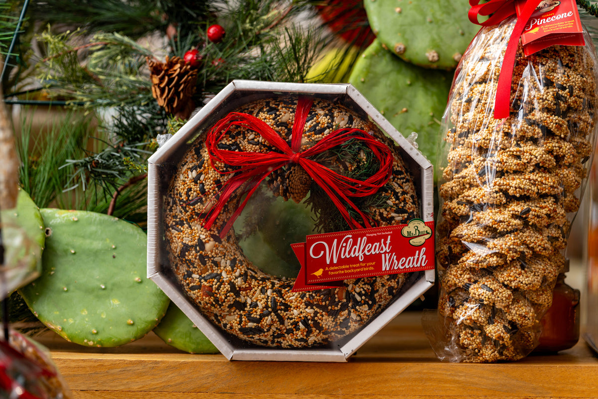 WildFeast Wreath Bird Treat