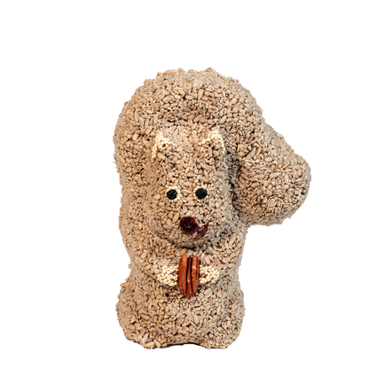 Nutzo Squirrel Bird Treat