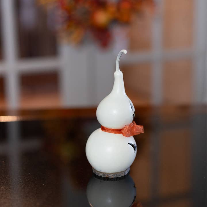 Jake - Tiny Ghost Gourd