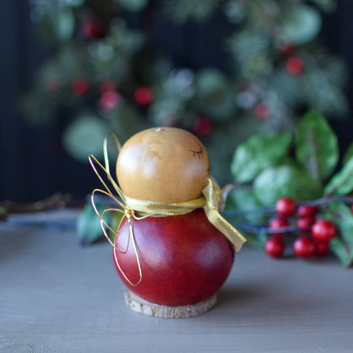 Tiny Anastasia Angel Gourd