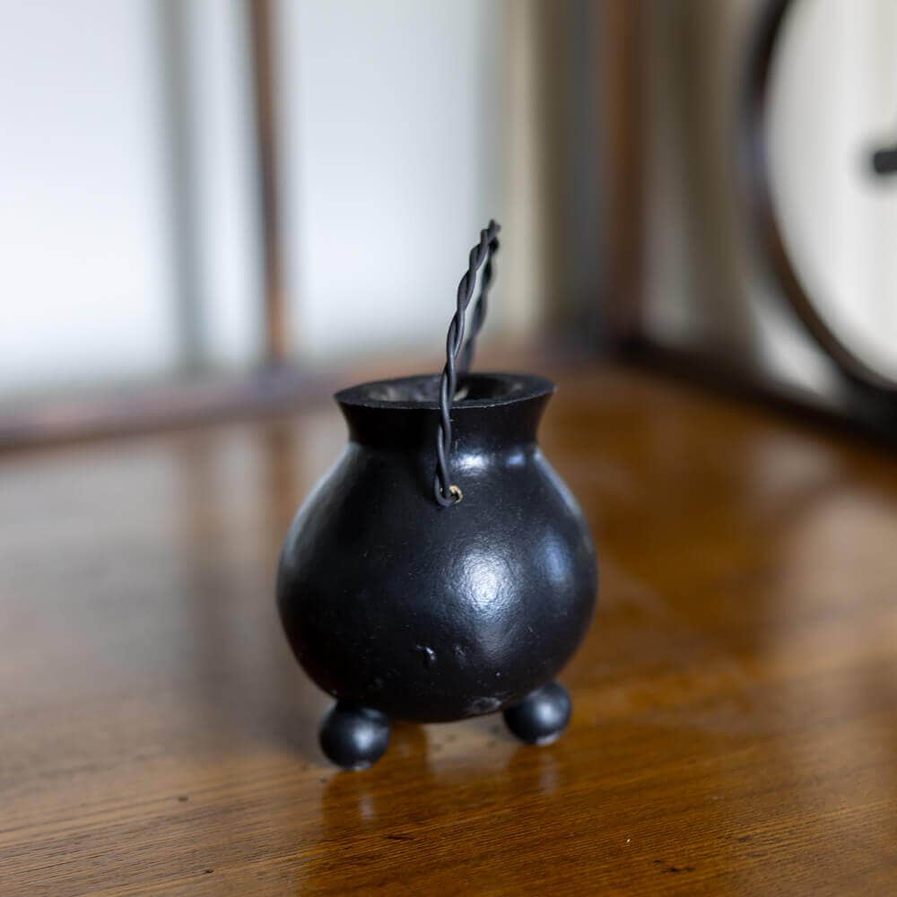 Witch Cauldron Gourd