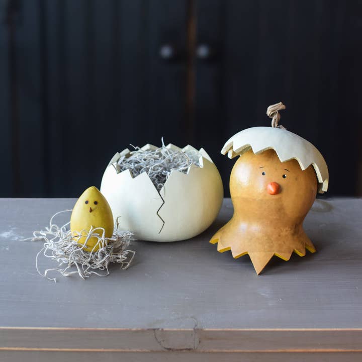 Flora the Hen Gourd