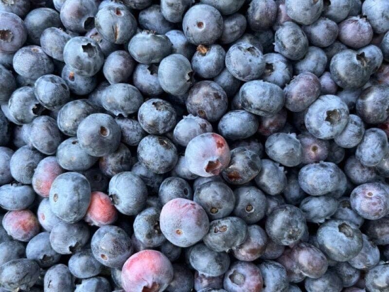 Blueberry + Lemon Infused Organic Maple Syrup 250ml