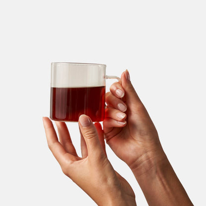 Fake Coffee Tea Bags Box of 10