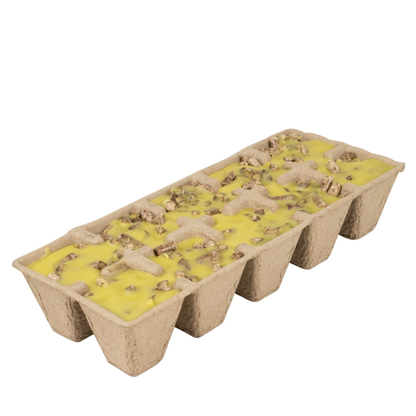Citronella Fire Starters