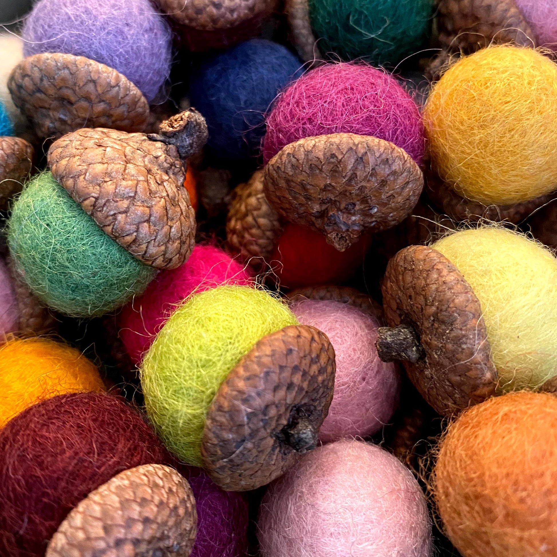 Felt Acorns Forest Brights