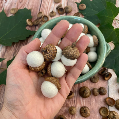 Felt Acorns Fresh Cream