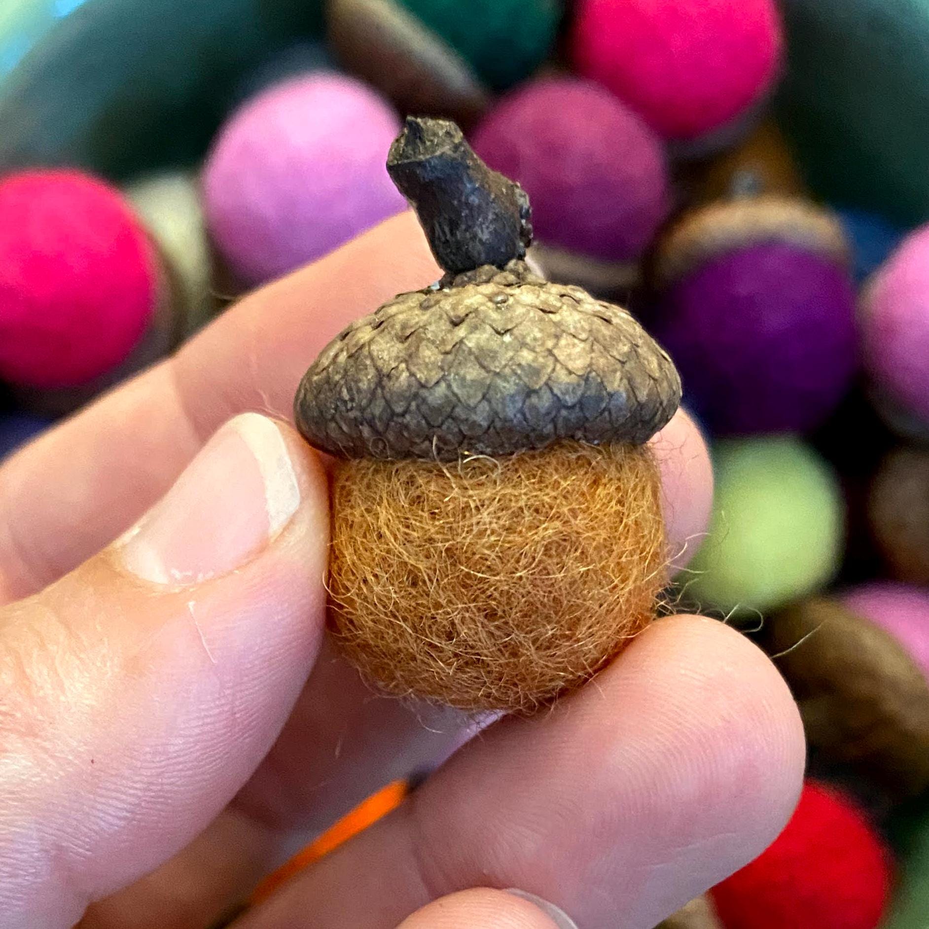 Felt Acorns Forest Brights