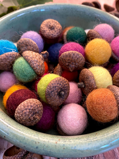 Felt Acorns Forest Brights