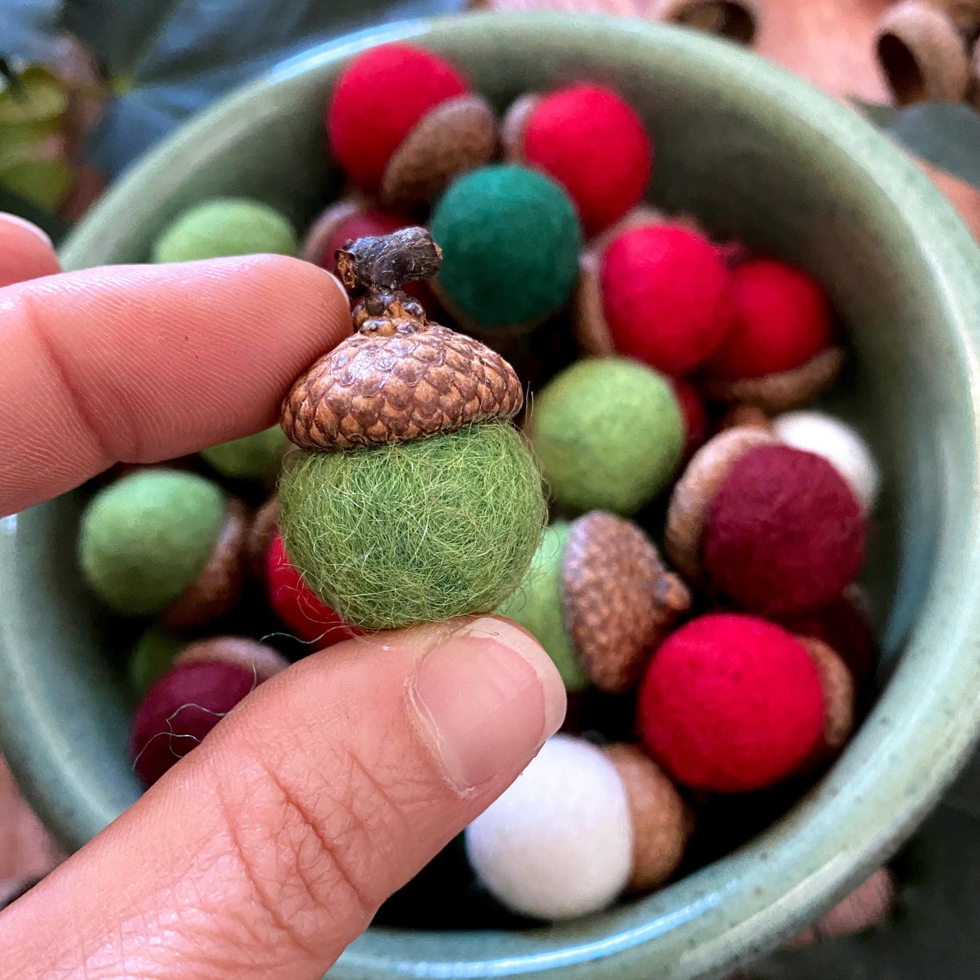 Felt Acorns Evergreen Grove