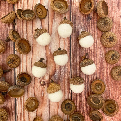 Mini Felt Acorns Fresh Cream
