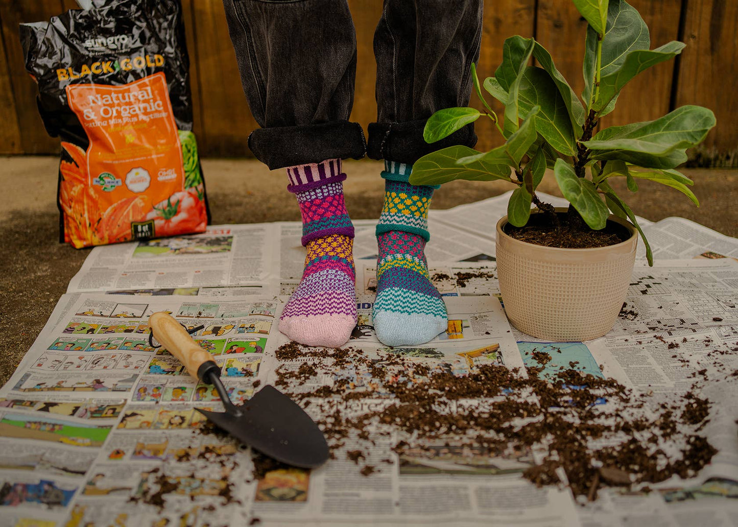 Petunia Crew Socks