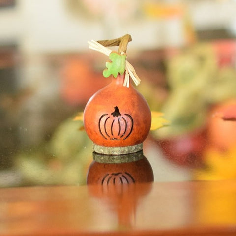 Lil Pumpkin Silhouette Mini Gourd