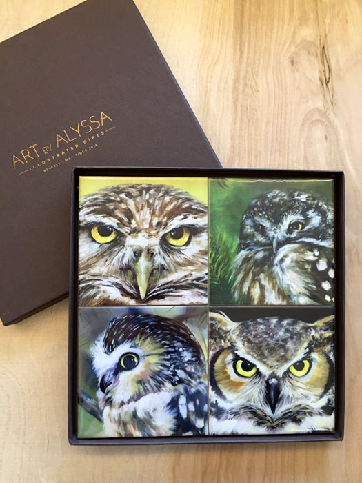 Owl Coaster Set