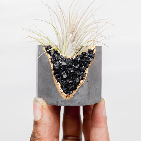Black Tourmaline Geode Planter