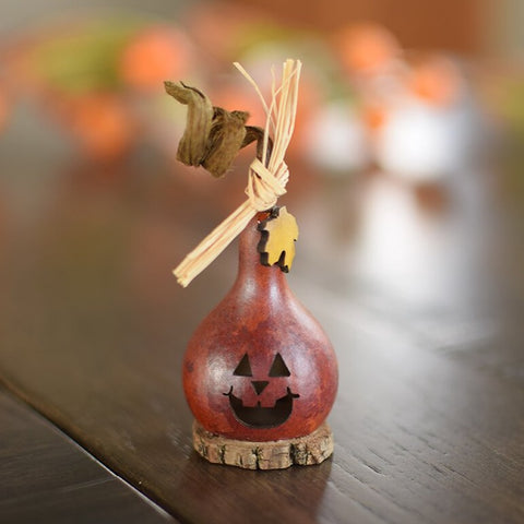 Lil Jack Pumpkin Mini Gourd