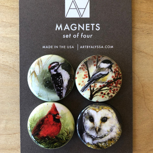 Winter Birds Magnet Set
